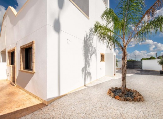 Apartement - Nouvelle construction - Cox - Cox
