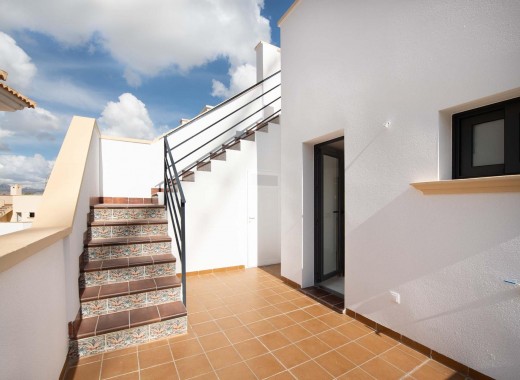Apartement - Nouvelle construction - Cox - Cox