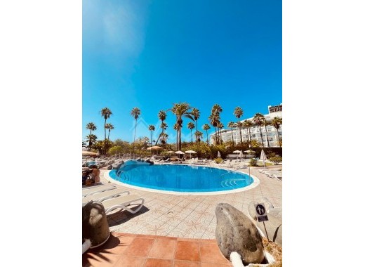 Appartement - Revente -
            Bahia Del Duque - 23984