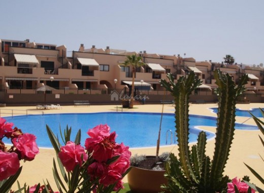 Appartement - Revente -
            Costa Del Silencio - 14077