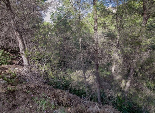 Plot - Revente -
            Benissa - 18209