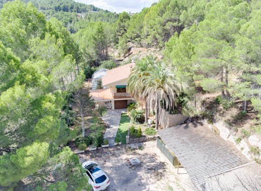 Plot - Revente -
            Muro d'Alcoi - 81750
