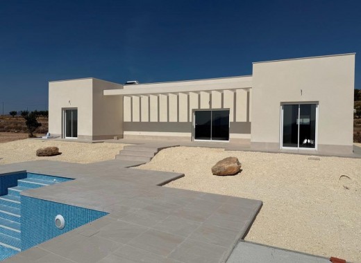 Villa - New Build - Pinoso - Pinoso