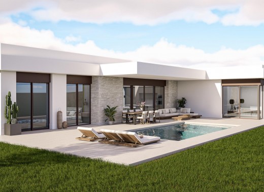 Villa - New Build - Pinoso - Pinoso