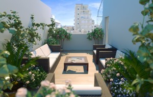 New Build - Apartment - Alicante - Centro