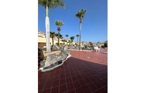 Sale - Apartment - Chayofa - La Finca Chayofa Tenerife