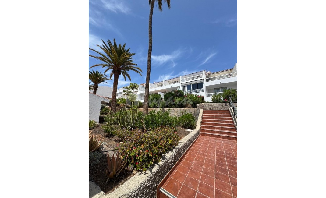 Sale - Apartment - Playa De Las Americas - Las Americas Tenerife