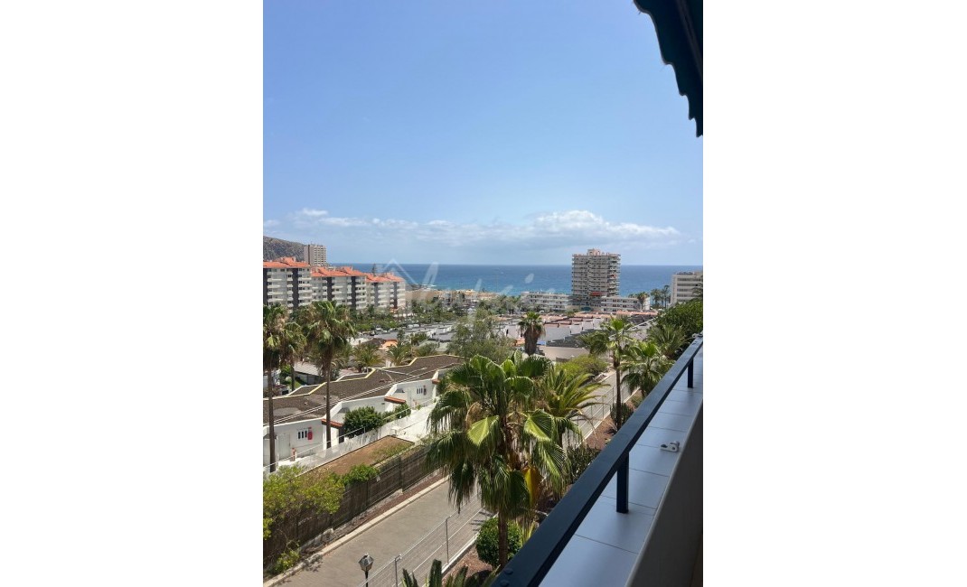 Revente - Apartement - Los Cristianos - La Sirena Los Cristianos Tenerife