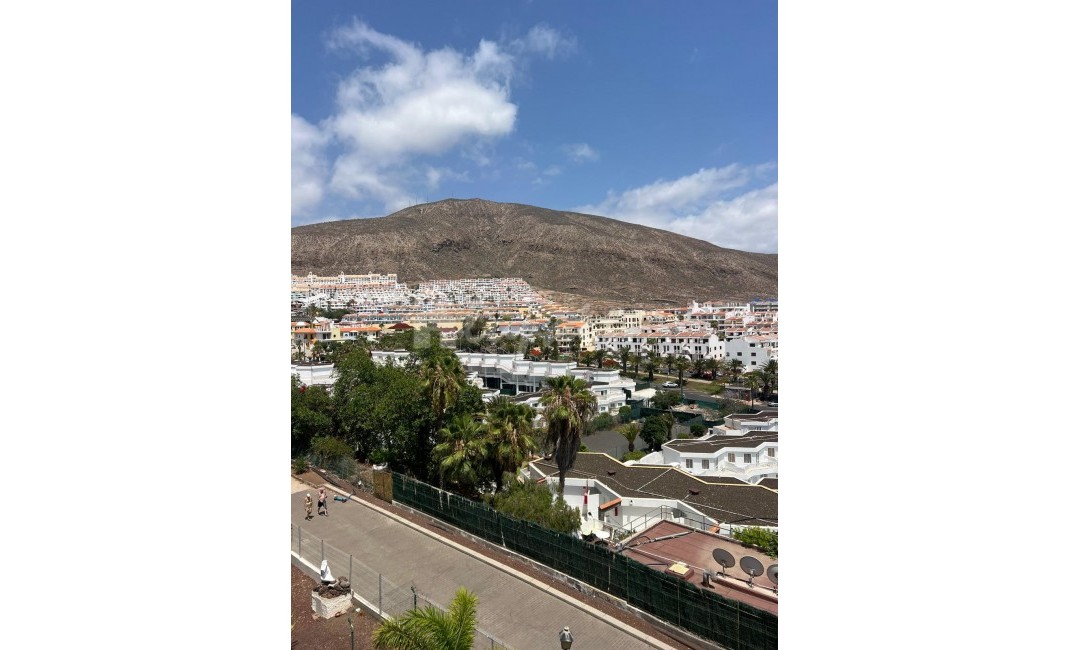 Revente - Apartement - Los Cristianos - La Sirena Los Cristianos Tenerife