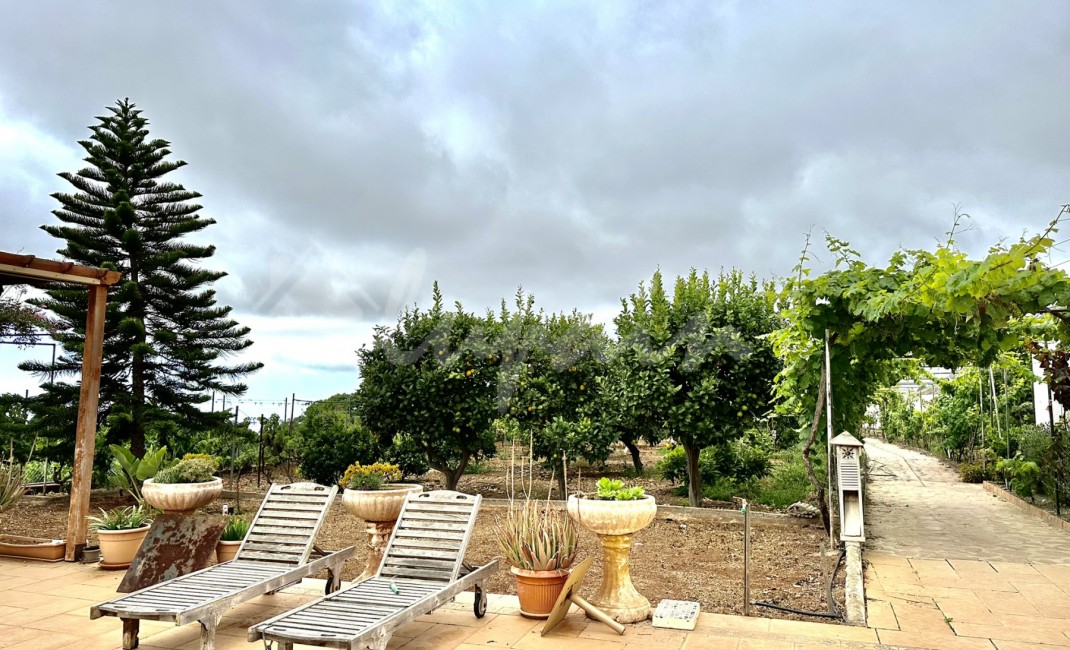 Revente - Villa - Guia De Isora - Vera De Erques Guia De Isora Tenerife