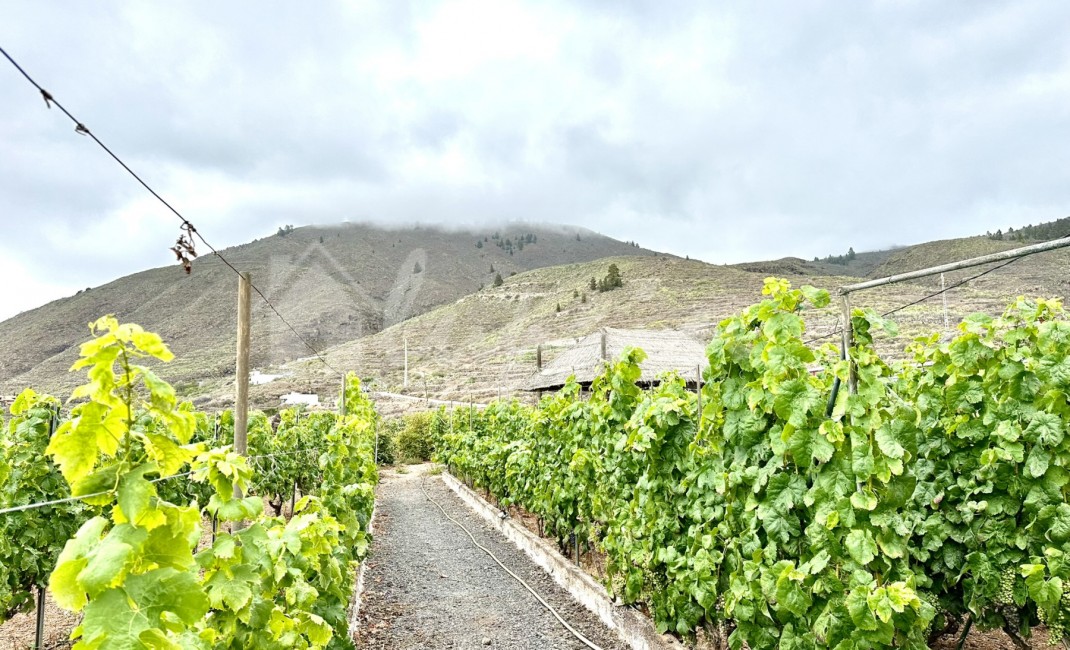 Revente - Villa - Guia De Isora - Vera De Erques Guia De Isora Tenerife
