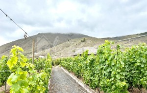 Revente - Villa - Guia De Isora - Vera De Erques Guia De Isora Tenerife