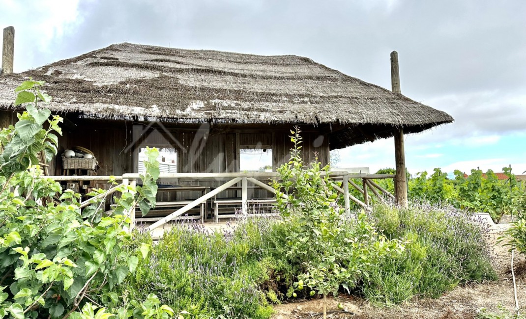Revente - Villa - Guia De Isora - Vera De Erques Guia De Isora Tenerife