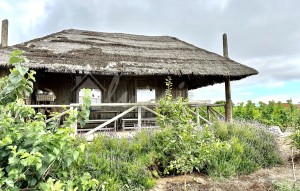 Revente - Villa - Guia De Isora - Vera De Erques Guia De Isora Tenerife