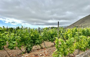 Revente - Villa - Guia De Isora - Vera De Erques Guia De Isora Tenerife