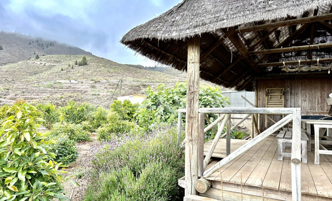 Revente - Villa - Guia De Isora - Vera De Erques Guia De Isora Tenerife