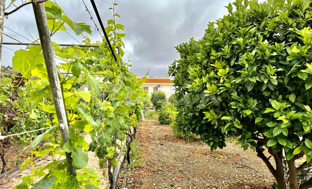 Revente - Villa - Guia De Isora - Vera De Erques Guia De Isora Tenerife