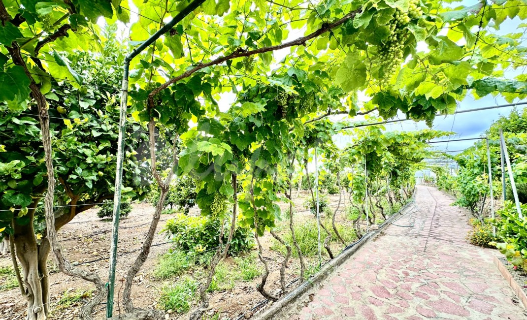 Revente - Villa - Guia De Isora - Vera De Erques Guia De Isora Tenerife