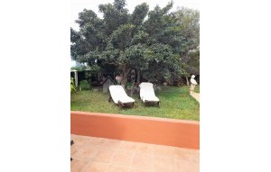 Revente - Villa - Los Gigantes - Los Gigantes Tenerife