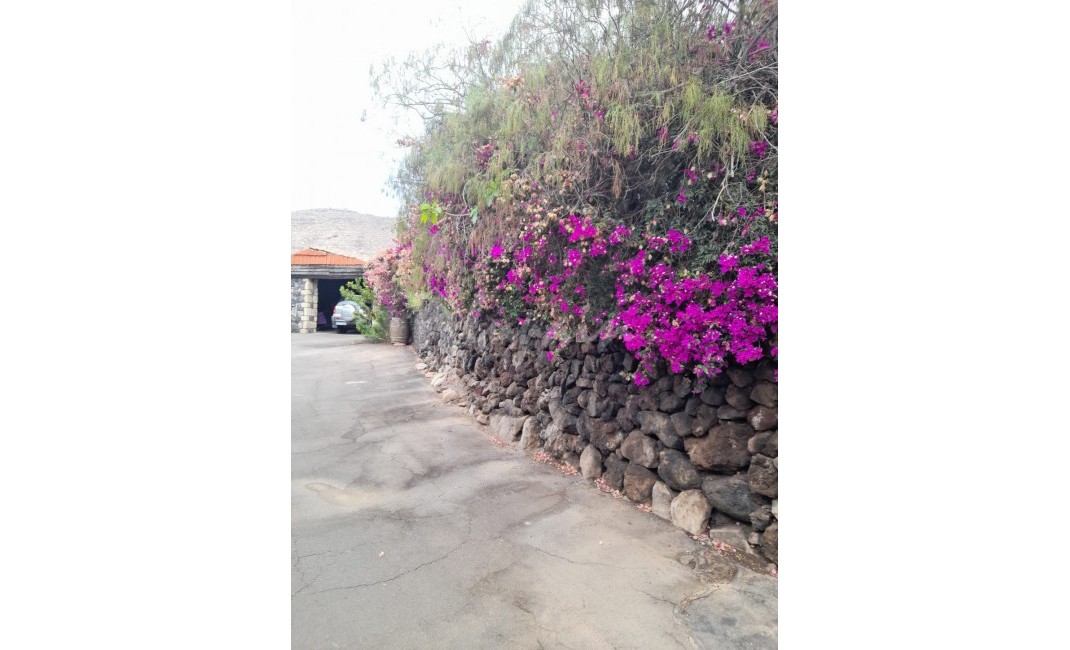 Revente - Villa - Los Gigantes - Los Gigantes Tenerife