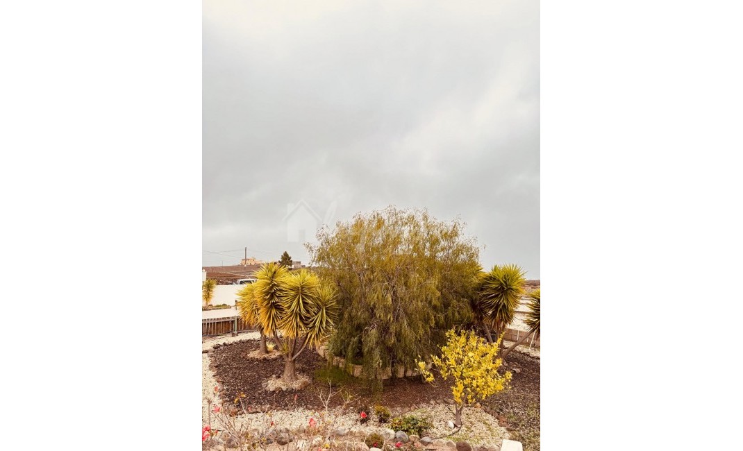 Revente - Villa - Vilaflor - Los Quamados Vilaflor Tenerife