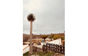 Revente - Villa - Vilaflor - Los Quamados Vilaflor Tenerife