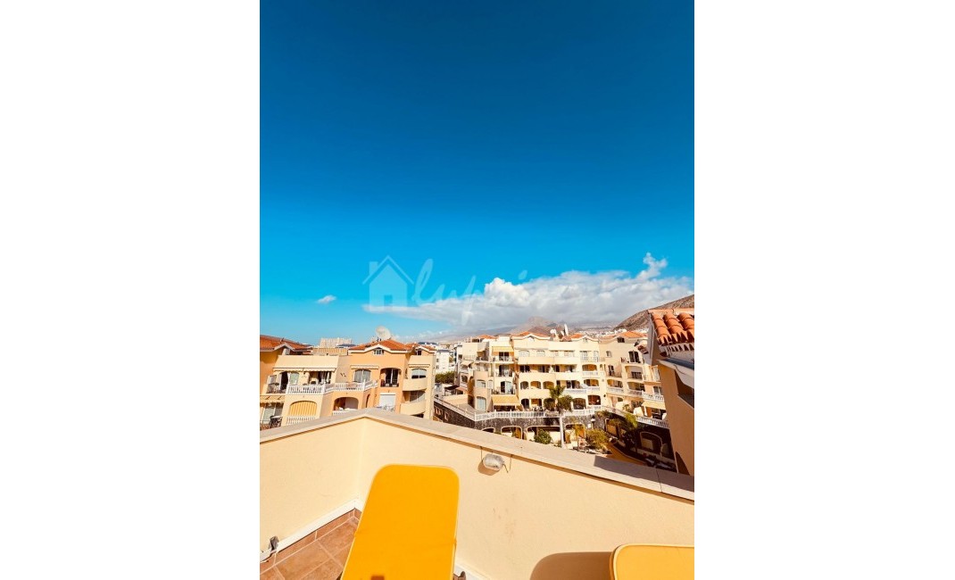 Revente - Appartement - Los Cristianos - Parque Tropical Los Cristianos Tenerife