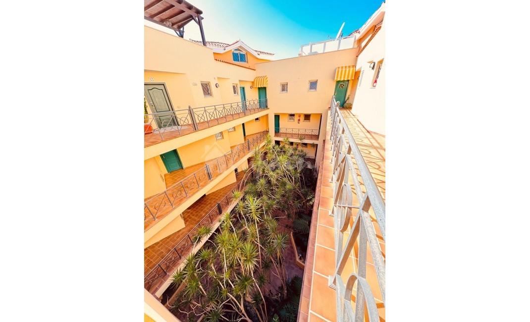 Revente - Appartement - Los Cristianos - Parque Tropical Los Cristianos Tenerife