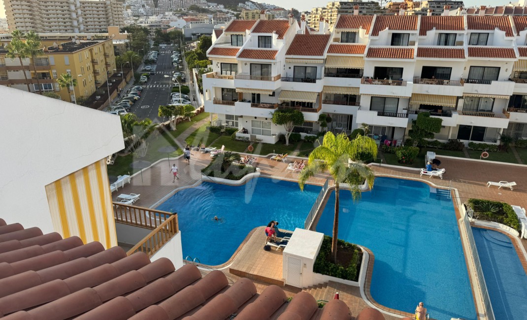 Revente - Apartement - Los Cristianos - Cristian Sur Los Cristianos Tenerife