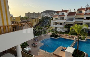 Revente - Apartement - Los Cristianos - Cristian Sur Los Cristianos Tenerife