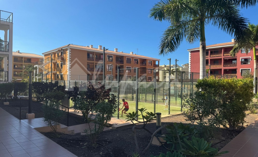 Revente - Appartement - Palm Mar - El Mocan Palm Mar Tenerife