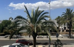 Revente - Appartement - Costa Del Silencio