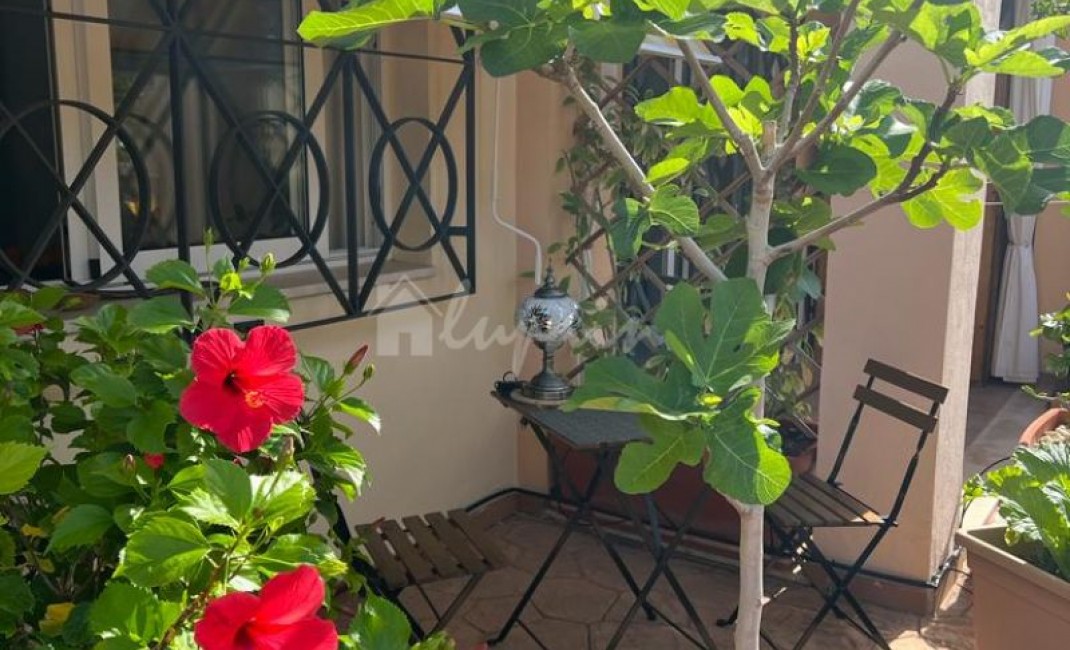 Revente - Appartement - Los Cristianos - Parque Tropical Los Cristianos Tenerife