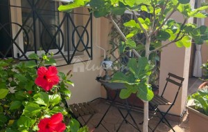 Revente - Appartement - Los Cristianos - Parque Tropical Los Cristianos Tenerife