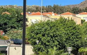 Revente - Apartement - Las Chafiras - Llano Del Camello