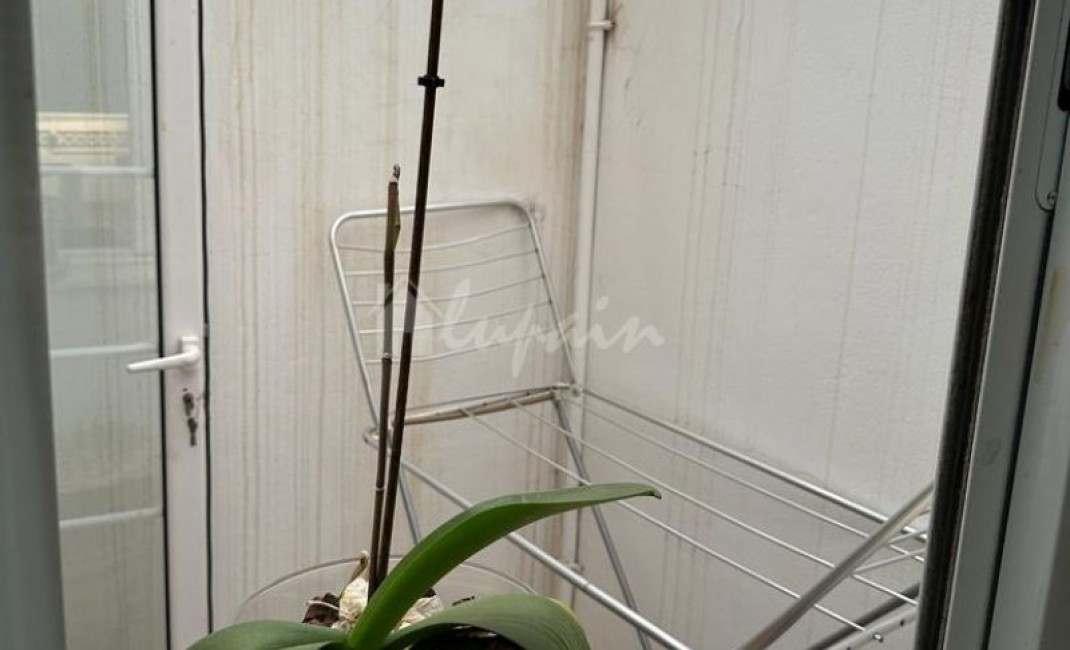 Sale - Townhouse - San Miguel - La Quinta De Abona San Miguel Tenerife