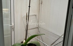 Sale - Townhouse - San Miguel - La Quinta De Abona San Miguel Tenerife