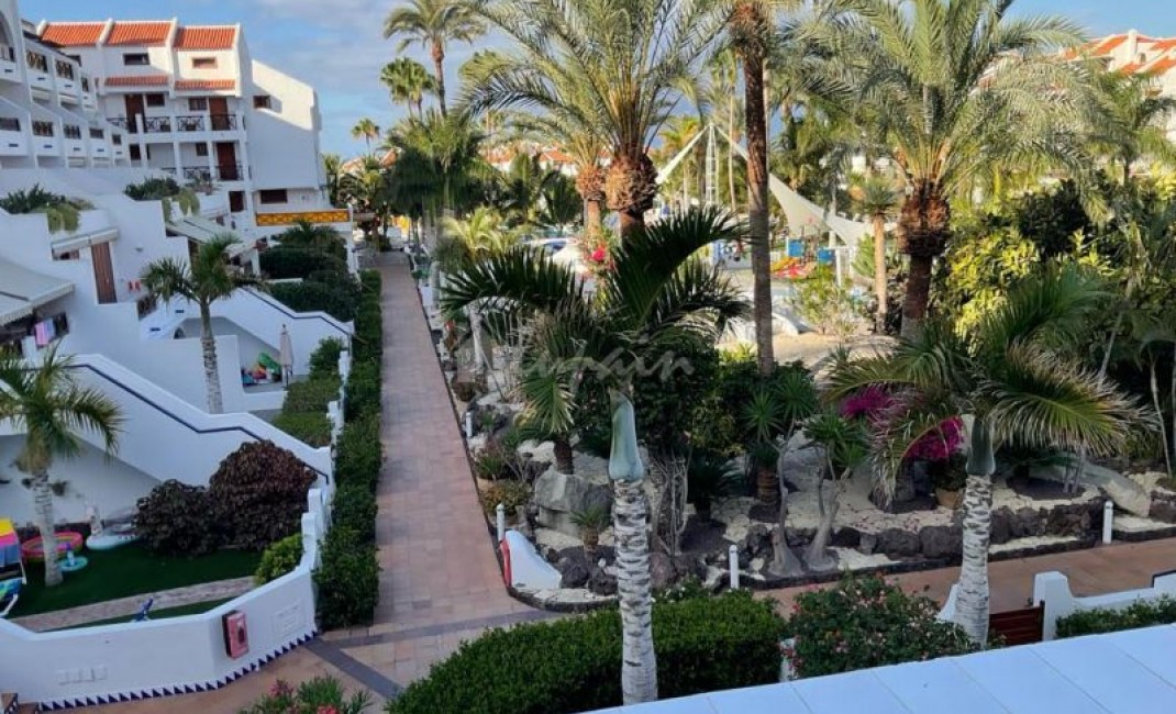 Sale - Apartment - Playa De Las Americas - Parque Santiago III Las Americas Tenerife