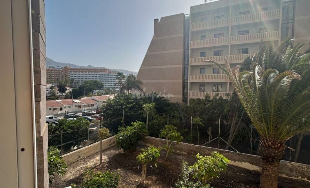 Revente - Apartement - Playa De Las Americas - Torres De Yomely Las Americas Tenerife