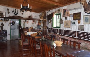 Sale - Villa - Buzanada - Buzanada Tenerife