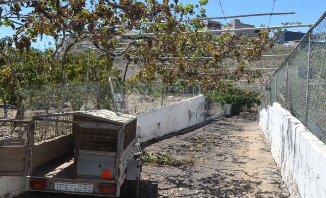 Sale - Villa - Buzanada - Buzanada Tenerife