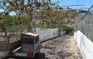 Sale - Villa - Buzanada - Buzanada Tenerife