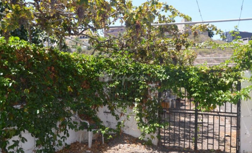 Sale - Villa - Buzanada - Buzanada Tenerife