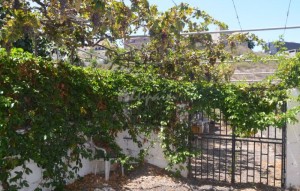 Sale - Villa - Buzanada - Buzanada Tenerife