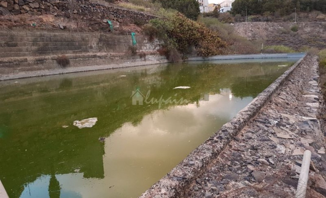 Sale - Villa - Buzanada - Buzanada Tenerife