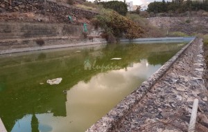 Sale - Villa - Buzanada - Buzanada Tenerife