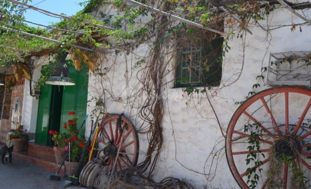 Sale - Villa - Buzanada - Buzanada Tenerife