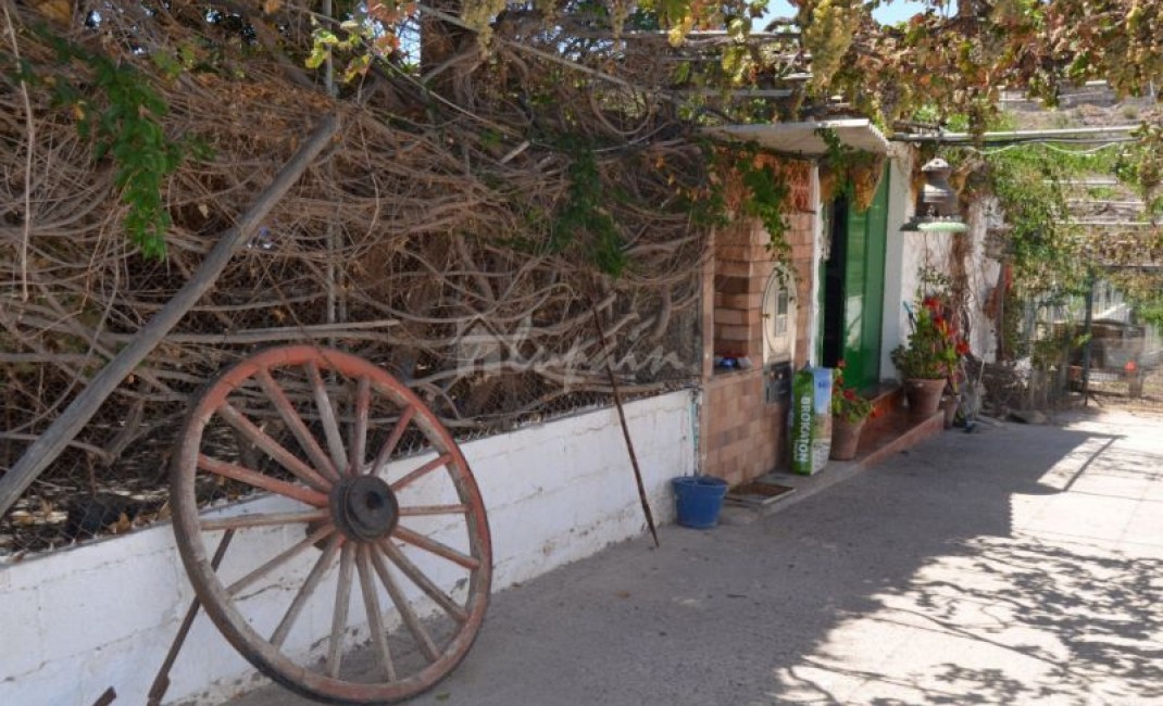 Sale - Villa - Buzanada - Buzanada Tenerife