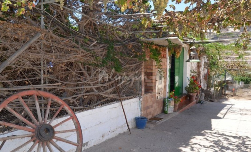 Sale - Villa - Buzanada - Buzanada Tenerife