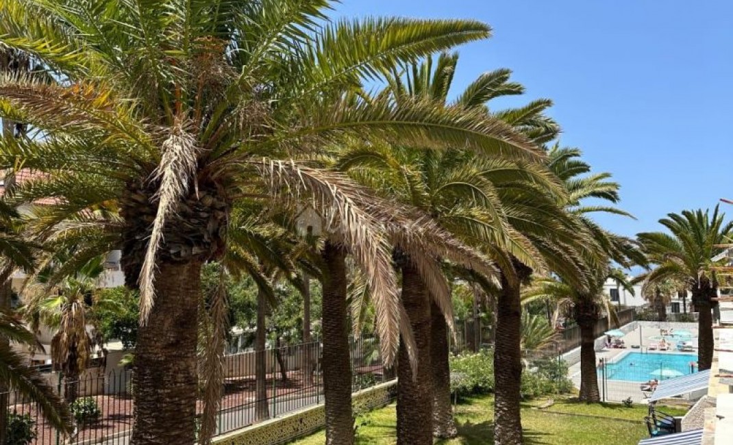 Revente - Apartement - Playa De Las Americas - Playa Honda Playa de Las Americas Tenerife